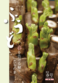 2009年春号　第５号　春を告げる緑　たらの芽