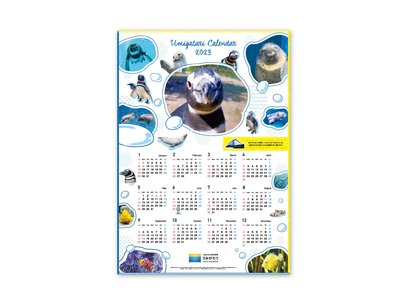 上越市立水族博物館　うみがたり　カレンダー